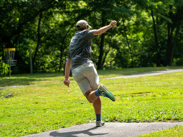 Image for Things To Do Northern Regional Park (Disc Golf)